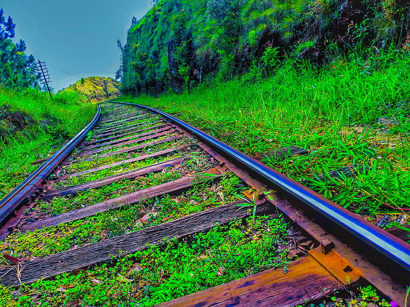 Railway, mate, metal, nature, railroad, sri lanka, track, tracks, train, travel, HD wallpaper