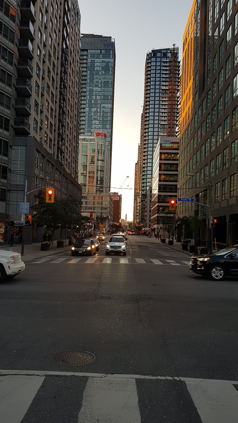 Downtown Toronto , canada, city, street, sunset, HD phone wallpaper