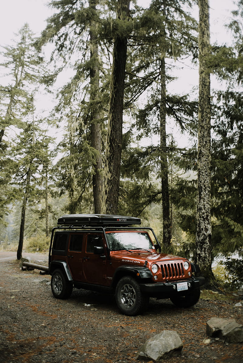 jeep wrangler, jeep, car, suv, brown, HD phone wallpaper