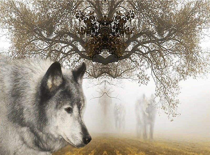 Wolf spirits, tree, wolf, animals, spirits, mist, HD wallpaper | Peakpx