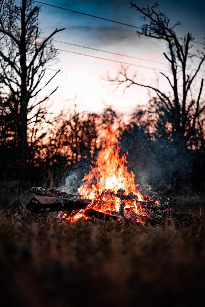 bonfire, firewood, smoke, HD phone wallpaper