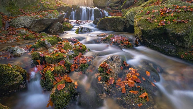 Fallen Leaves in Jizera Mountains, Bohemia, Czech Republic, fall, waterfall, trees, colors, rocks, cascade, stones, river, landscape, autumn, HD wallpaper