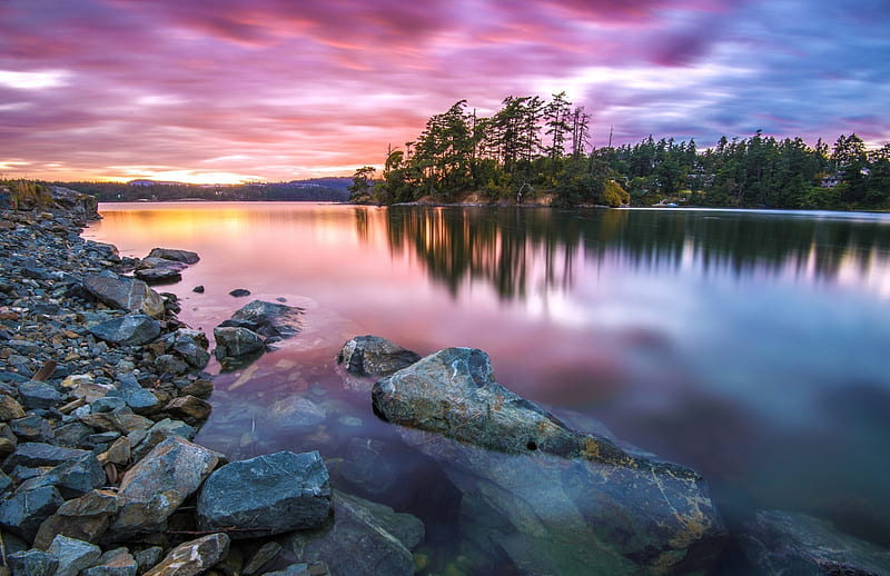 River Forest, forest, rocks, sun, homes, nature, river, clouds, trees ...