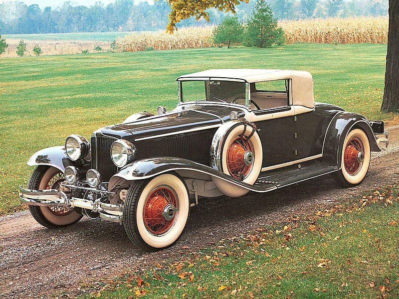 1931 Cord L 29 convertible, car, convertible, nature, classic, old, field, 1931, HD wallpaper