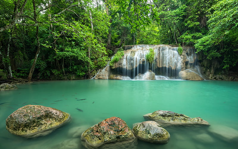 beautiful green lake, waterfall, tropical forest, Thailand, stones, jungle, HD wallpaper
