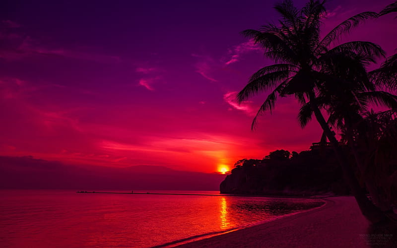 Red Sunset, red, scenic, palm, bonito, sunset, eerie, sea, beach, gloomy, beauty, scenery, night, cloud, ocean, gloom, sky, coconut tree, tree, water, dark, nature, scene, palm tree, landscape, HD wallpaper