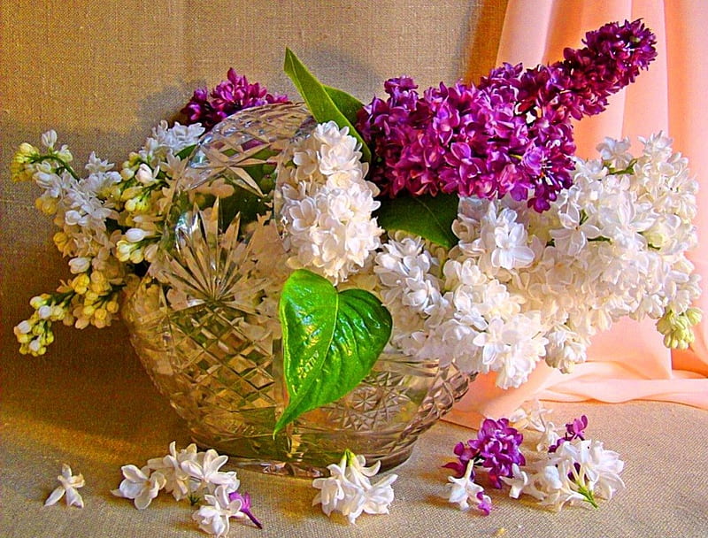 Lilacs and crystal, purple, flowers, crystal, white, green leaves, lilacs, bowl, HD wallpaper