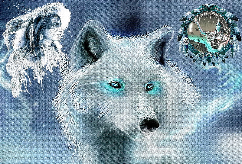 BLUE DREAM, nature, wolf, winter, 2012, HD wallpaper