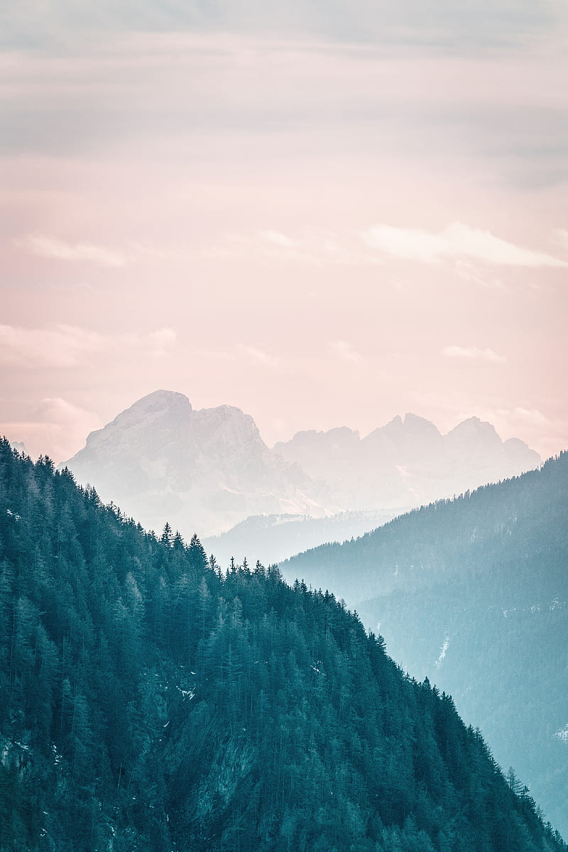 mountains, fog, trees, sky, slope, HD phone wallpaper