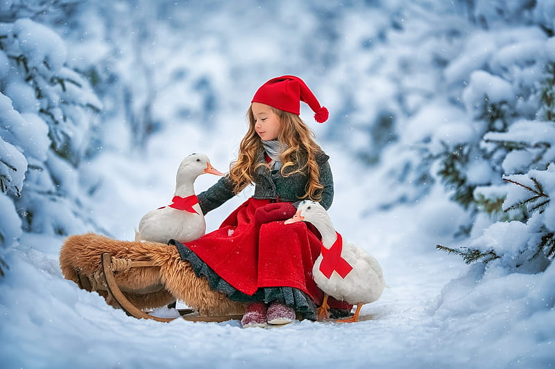 Cute little girl, Forest, Snow, Bids, Winter, HD wallpaper