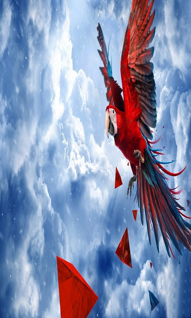 parrot flying, bird, clouds, cool, flyings, good, nice, red, sky, top, HD phone wallpaper