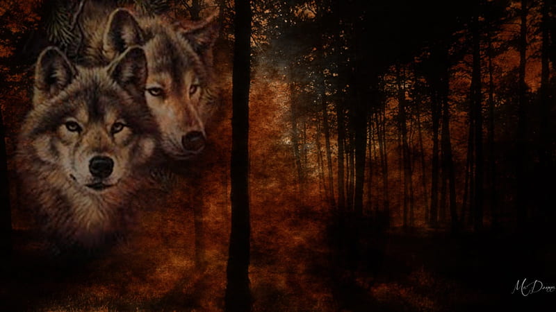 Wolves in Fall Forest, forest, fall, autumn, predators, woods, wolf, collage, wolves, HD wallpaper