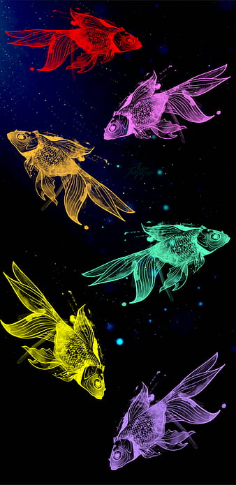 New Whatsapp Dp, purple fish, whats app dp, HD phone wallpaper