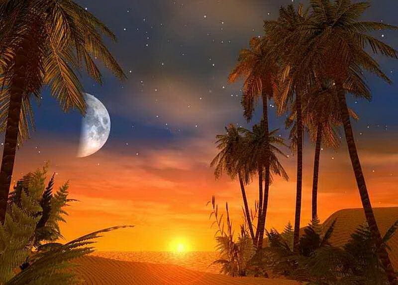 Sunset, moon, desert, colors, golden sand, sky, palm trees, HD wallpaper