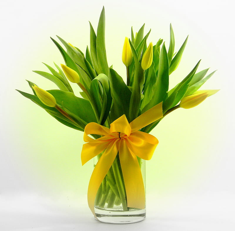 Great gift, wonderful, femg shui, yellow, bow, green, love, siempre, tulips, positive, present, lovely, fresh, ribbon, gift, energy, bouquet, entertainment, precious, great, fashion, HD wallpaper