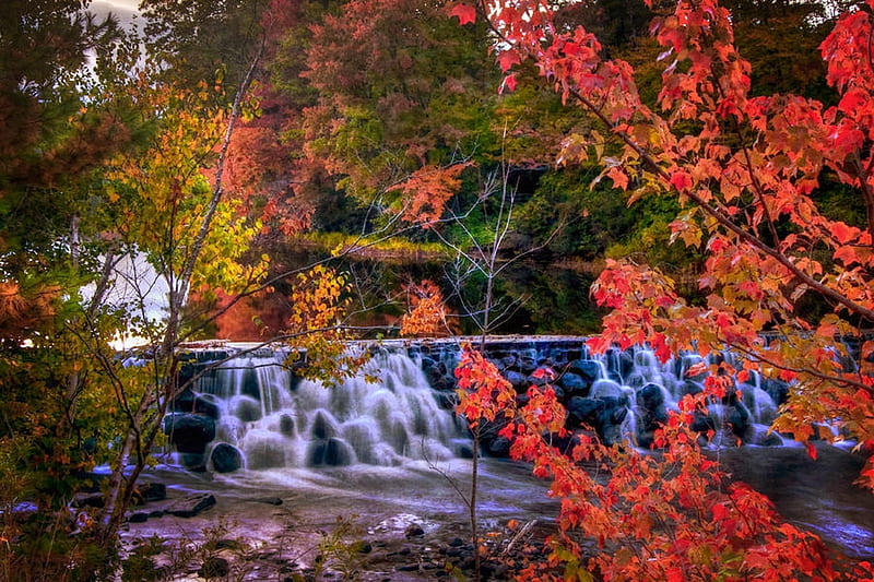 Autumn Waterfall in New England, forest, leaves, usa, colors, trees, new hampshire, HD wallpaper