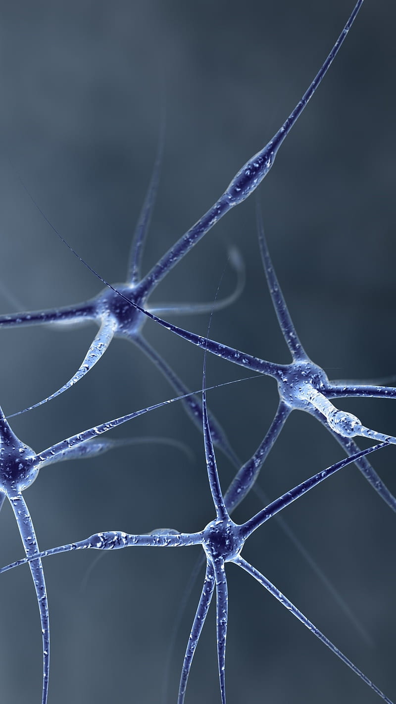 Neurons, 3d, nervous, rendering, research, science, HD phone wallpaper