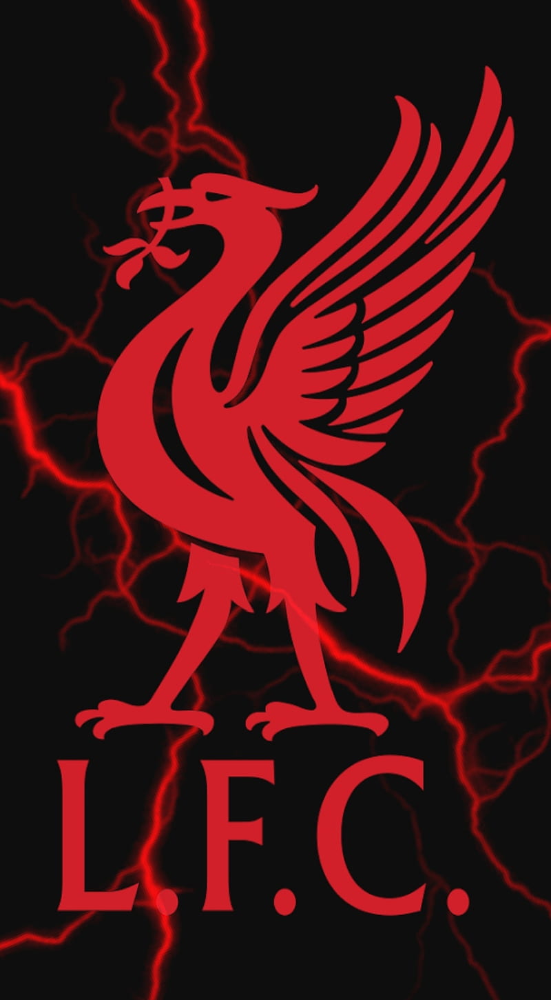 Liverpool FC, champions, lfc, premiership, HD phone wallpaper