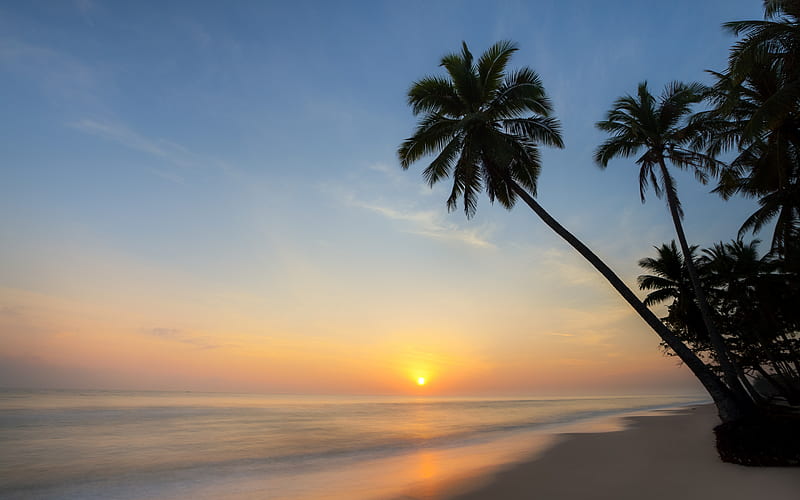 tropical island, sunset, palm, evening, dusk, beach, ocean, HD wallpaper
