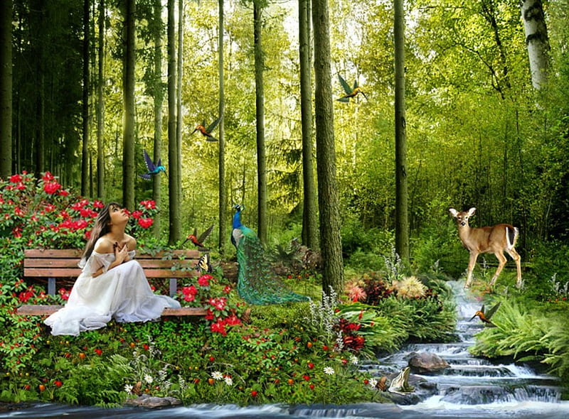 Spring Paradise, forest, paradise, girl, animals, HD wallpaper