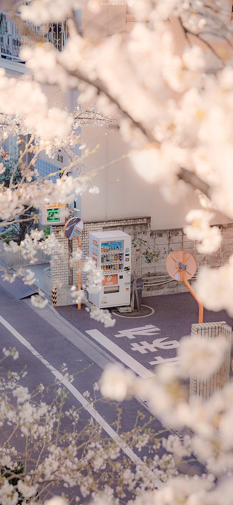 Sakura Airi, vending machine, japan, vertical, portrait display, HD phone wallpaper