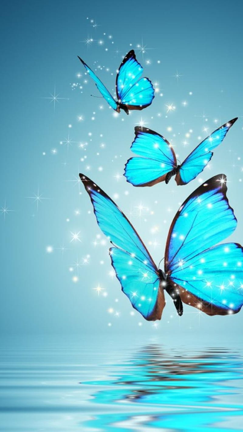 Mariposa, azul, limpio, Fondo de pantalla de teléfono HD | Peakpx