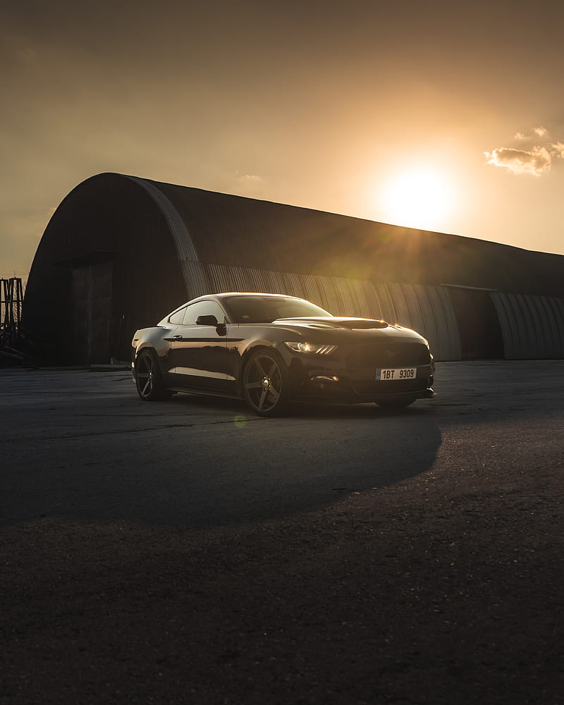Ford mustang, mustang, car, sports car, black, side view, sunset, HD phone  wallpaper | Peakpx