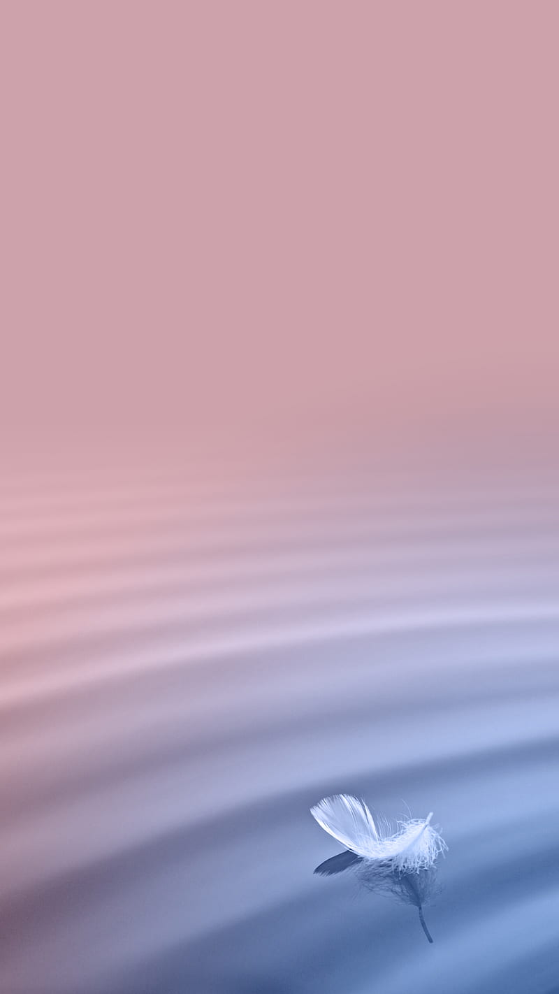 Feather, pink, quad , stock , vivo xplay 5, HD phone wallpaper