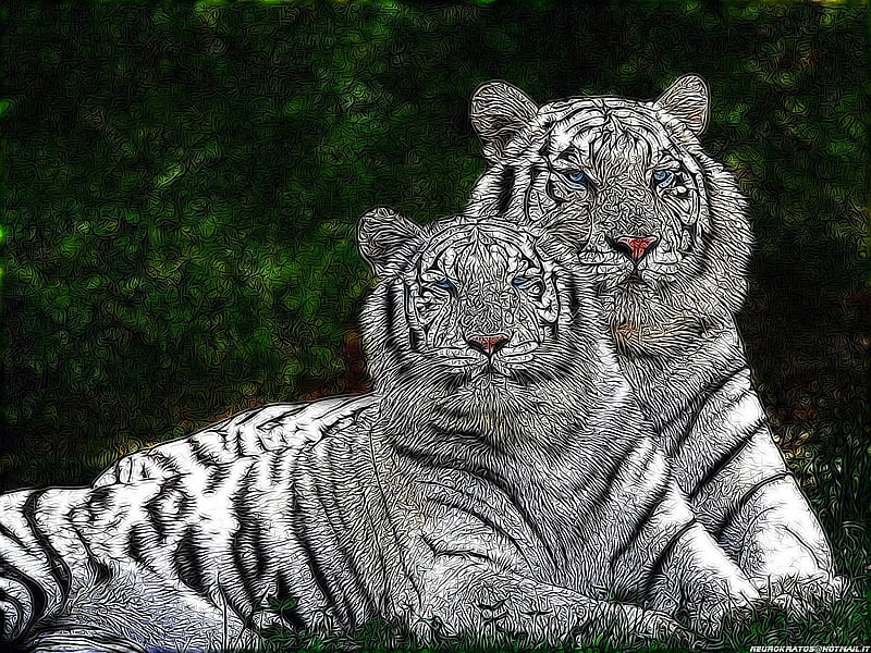 Bengal-Tigers, bengal, tiger, stylized, HD wallpaper