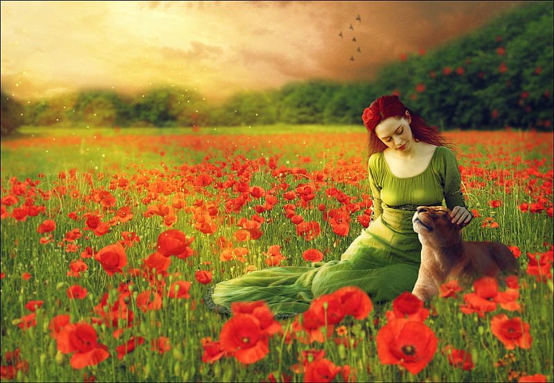 ✰Lioness in the Poppy Fields✰, pretty, wonderful, redhead, grass, orange, poppies, clouds, women, sweet, fantasy, splendor, manipulation, love, flowers, face, lovely, models, birds, sky, lips, trees, lion, cute, cool, eyes, spectacular, red, colorful, dress, bonito, digital art, hair, leaves, blossom, green, fields, girls, blooms, magnificent, animals, female, colors, butterflies, plants, lady, HD wallpaper