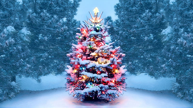 Christmas Tree With Snow And Lights Decoration, HD wallpaper