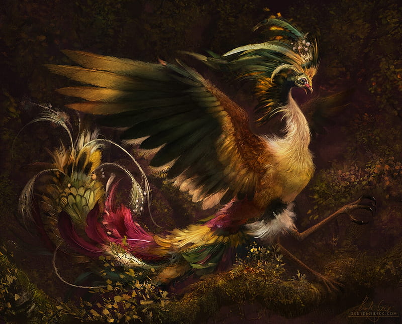 Fenguang, art, fantasy, bente schlick, bird, phoenix, feather, pasari, HD wallpaper
