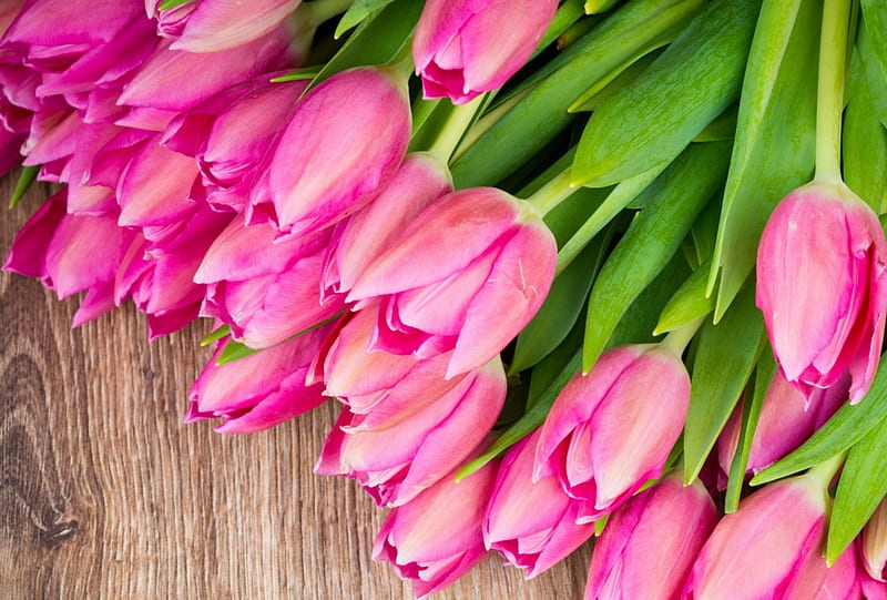 Tulipanes, flores rosadas, flor rosa, ramo, tulipanes rosas, ramos, flor,  flores, Fondo de pantalla HD | Peakpx