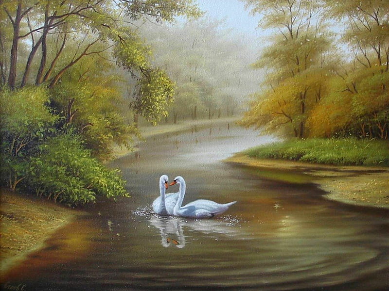 Swan Wallpaper APK for Android Download