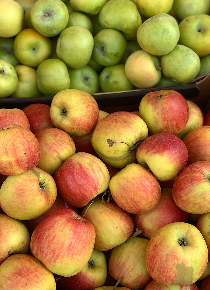 apples, fruit, shades, HD phone wallpaper