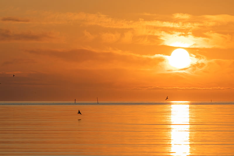 sunset, sea, sun, clouds, reflection, HD wallpaper