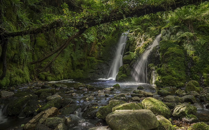 waterfall, forest, river, stones, Venford Brook Falls, Devon, Dartmoor, HD wallpaper