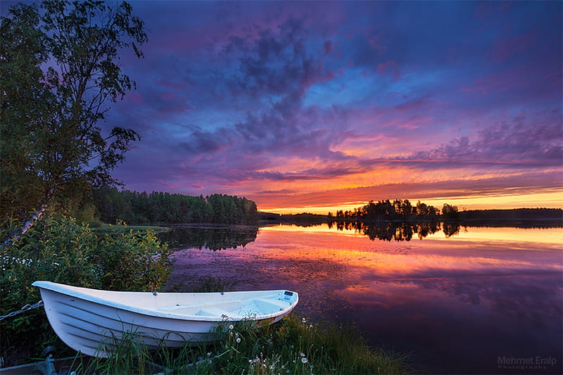 Tale of the White Boat, beach, boat, nature, sunset, white, trees ...