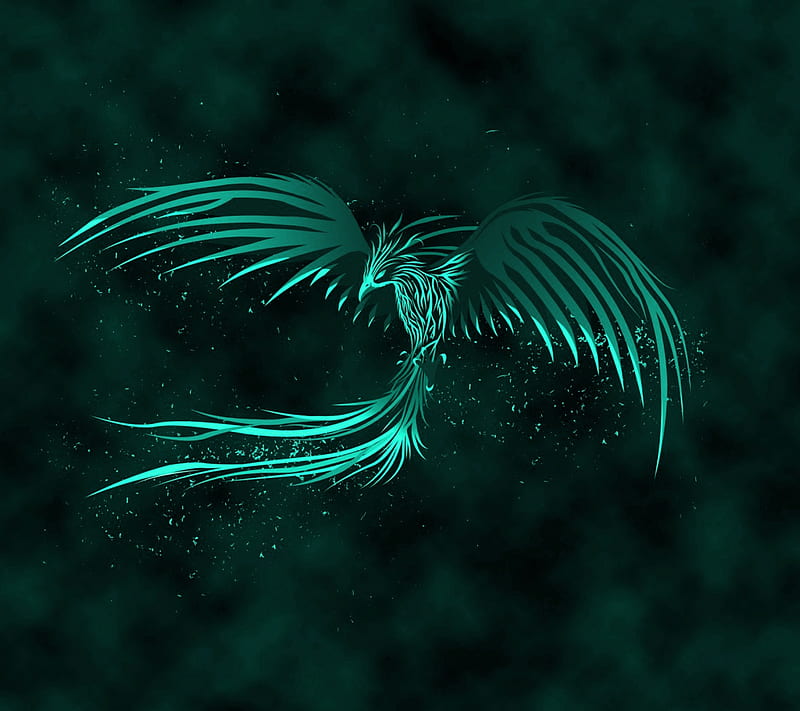 Phoenix, bird, fly, HD wallpaper