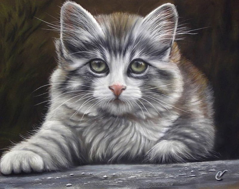 Cat, art, green eyes, painting, gris, brwon, white, animal, HD wallpaper