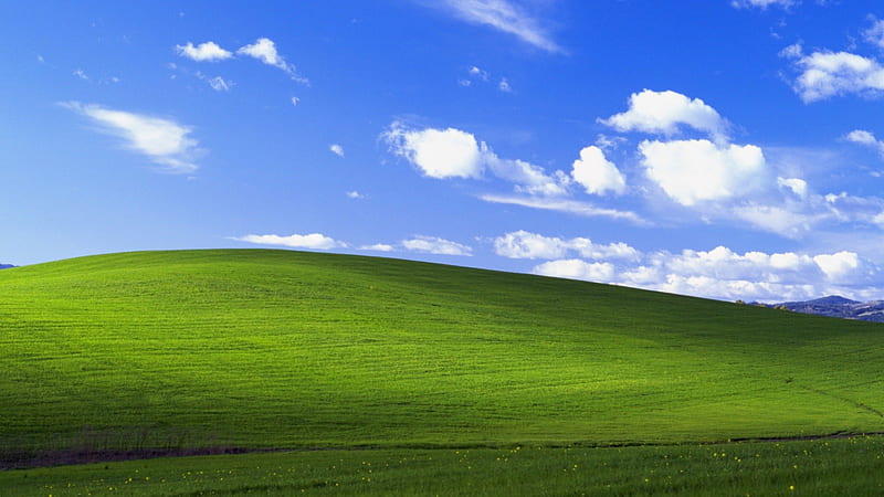 Windows XP, windows, people, entertainment, technology, funny, other, HD wallpaper