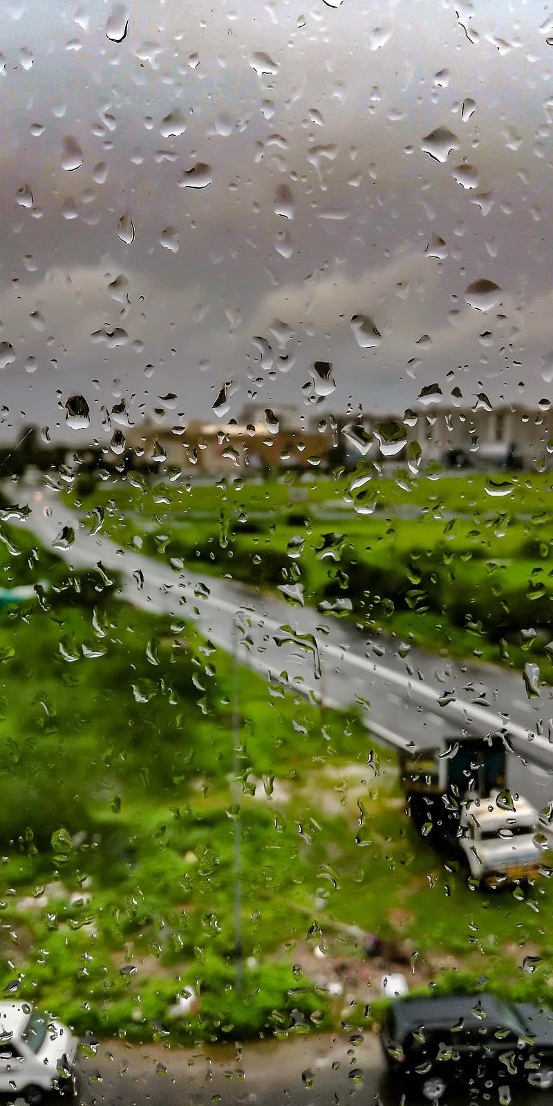 Monsoon Drops, autumn, nature, HD phone wallpaper | Peakpx
