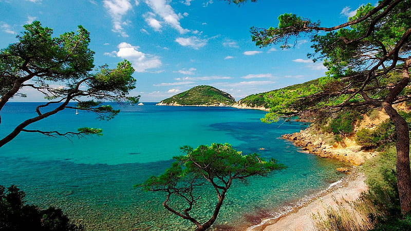Island of Elba, Italy, beach, trees, sea, coast, mediterranean, HD wallpaper