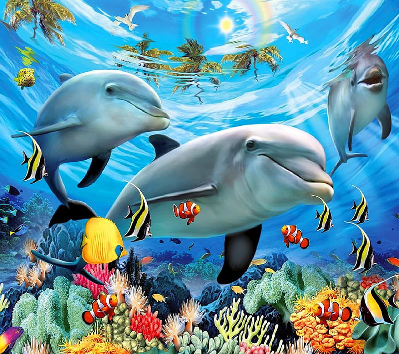 dolphins, HD wallpaper