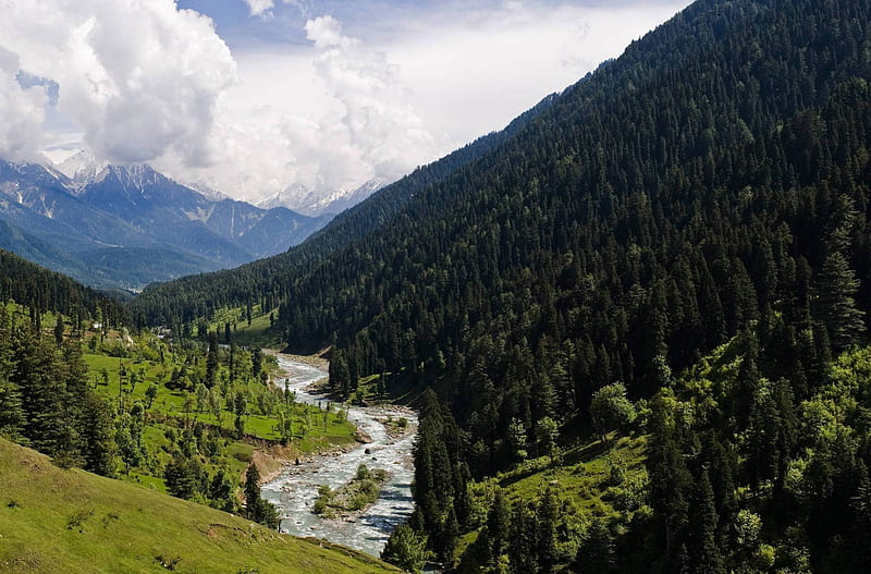 Lidder River valley in Kashmir India, mountain, nature, river, trees, HD wallpaper