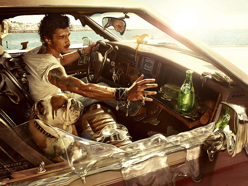 Thirst, bottle, caine, man, creative, situation, fantasy, perrier, car, hand, funny, commercial, dog, HD wallpaper