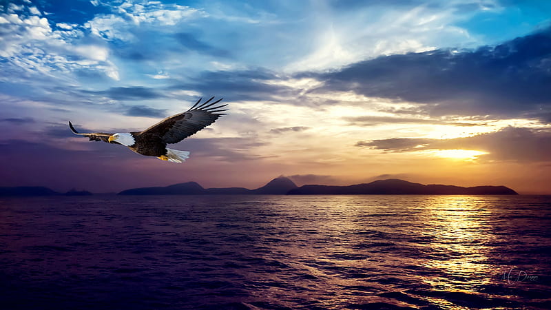 Sea Worthy, bird, mountains, ocean, eagle, clouds, sky, Firefox Persona theme, sea, HD wallpaper