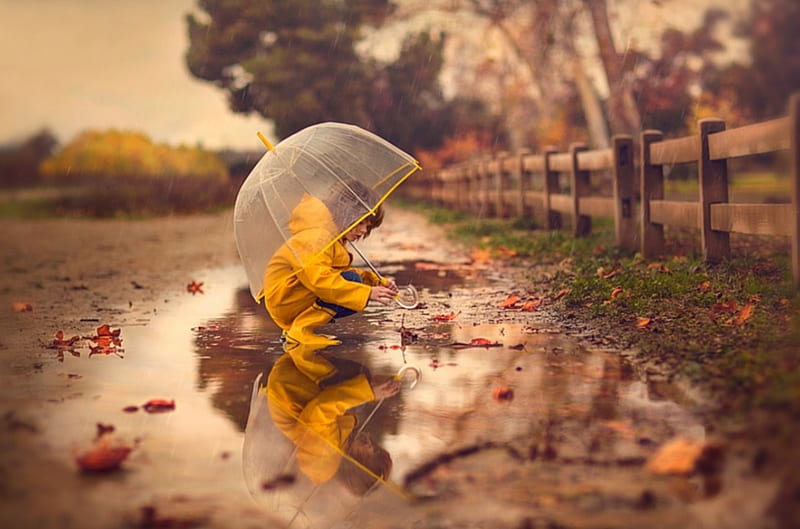 Wet Leaves, autumn, leaves, boy, umbrella, nature, rain, HD wallpaper
