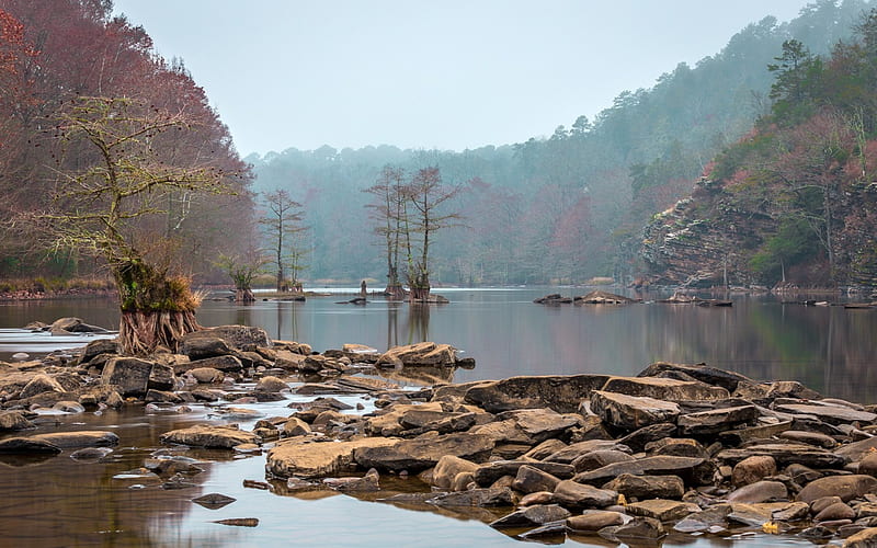Beavers Bend State Park, Forests, Lakes, State Parks, Nature, HD wallpaper