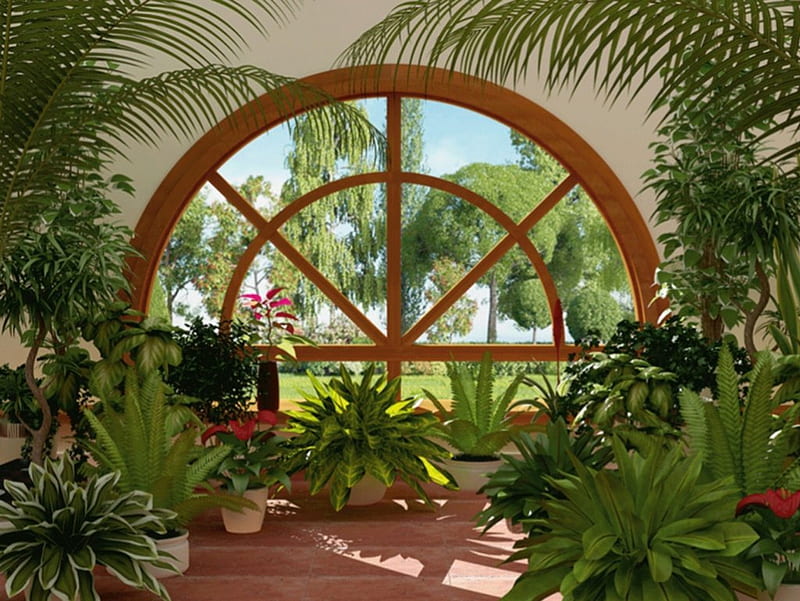 ✿~✿~✿, window, arch, flowers, houseplants, indoor plants, HD wallpaper